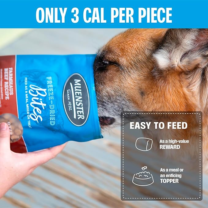 Muenster Freeze Dried Beef Bites - Complete Dog Food, Treat, Mixer or Topper (20oz) - Grain-Free
