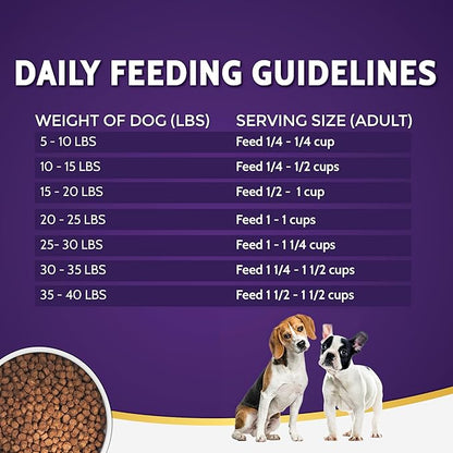 Zignature Turkey Limited Ingredient Formula Small Bites Dry Dog Food 4lb
