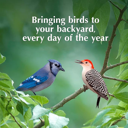 C&S Orange Delight No Melt Suet Dough, Suet Cakes for Wild Birds Including Robins, Blue Jays, Bluebirds, Tanagers, Thrushes and More, 8 Pack