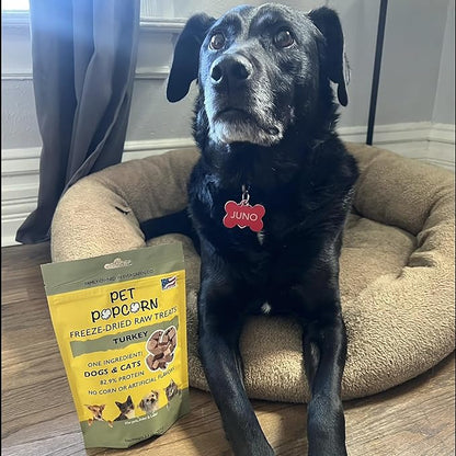 Freeze-Dried Raw Treats - Turkey Breast - 2.5oz Bag, Dog & Cat Snacks, Single Ingredient, Natural, Pet Food Topper, Protein‑Packed Meat