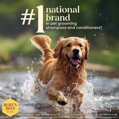 Burt's Bees for Pets Waterless Shampoo Spray for Dogs, Apple & Honey, No-Rinse Dry Dog Shampoo for All Dogs and Puppies, pH Balanced, No Sulfates, Parabens, Phthalates, 10 Fl Oz - 3 Pack