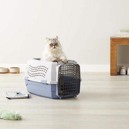 Basics Sturdy Portable 2-Door Top-Load Hard-Sided Pet Travel Carrier with Secure Ventilation, Handle, Front & Top Entry for Dogs, Cats, 22.8"L x 15"W x 13"H, Gray & Blue