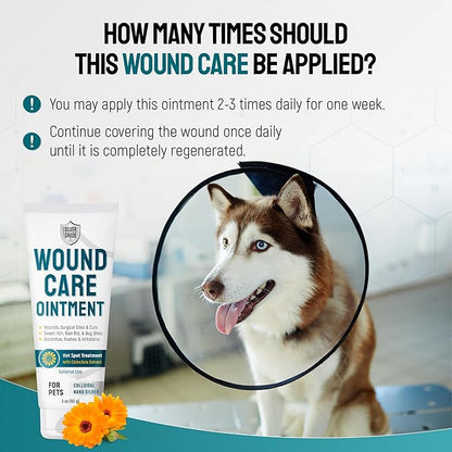 Dog Wound Care Ointment with Silver & Calendula – Aids with Scratches, Irritations, Bites – Feline & Canine Hot Spots Treatment in a Gel Form – Wound Antibiotic Ointment for Dogs & Cats in 2-oz Tube