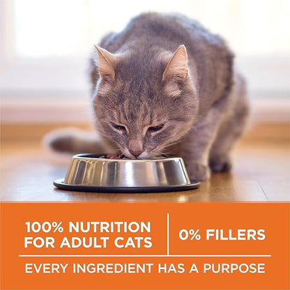 Purina ONE High Protein, Healthy Weight Plus Ideal Weigһt With Chicken Dry Cat Food Wеight Control Formula - 16 lb. Bag