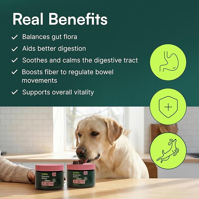 Wuffes Daily Probiotic for Dogs - Supports Digestive Health, Gut Balance, and Immune System - with Prebiotics, Marshmallow Root, and Pumpkin Powder - 60 Soft Chews
