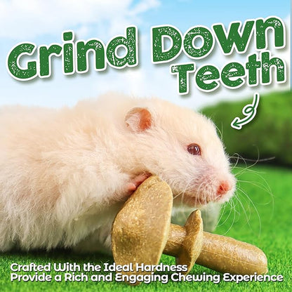 TEEWY Guinea Pig Chew Toys, Prevent Teeth Overgrowth, Natural Timothy Grass & Vegetables, Hamster Chew Toys, Guinea Pig Toys, Chinchilla Toys, 4PCS, Grass Patch & Mushrooms