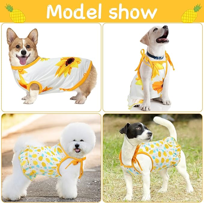 Frienda 4 Pieces Dog Clothes Set Include 2 Pcs Cute Pet Dress Lovely Dog Dress and 2 Pcs Breathable Pet T Shirt Puppy Clothes(Pineapple, Sunflower,X-Large)