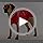 Kuoser Recovery Suit for Dogs After Surgery, Female Dog Onesie for Surgery