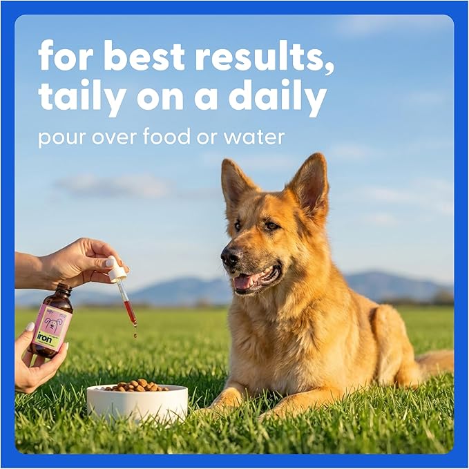 Taily AminoPets Liquid Iron Supplements for Dogs, Cats | Supports Anemia, Low Enery Levels and Lethargy | For Dogs, Puppies, Cats, and Kittens - Made in USA