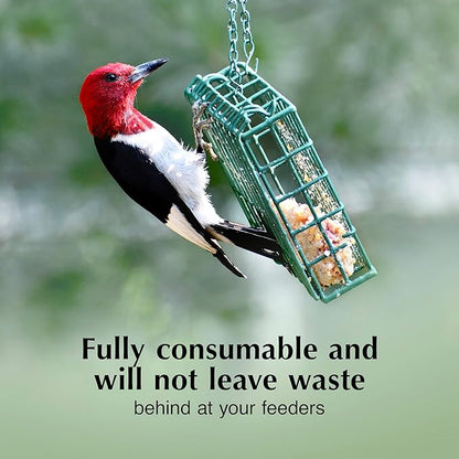 C&S Orange Delight No Melt Suet Dough, Suet Cakes for Wild Birds Including Robins, Blue Jays, Bluebirds, Tanagers, Thrushes and More, 8 Pack