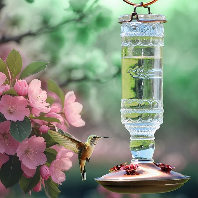 Perky-Pet Antique Glass Bottle Hummingbird Feeder - Outdoor Garden Décor Hummingbird Feeder - 8107-1SR - 10 Fl Oz Nectar Capacity - Durable Humming bird Feeder for Backyards, Porches, Decks, Hooks