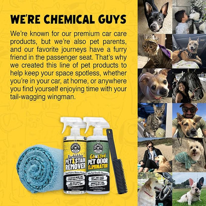 Chemical Guys Professional Rubber Pet Hair Removal Brush – Multi Surface Detailing & Pet Hair Removal Tool for Cars, Trucks, SUVs, RVs & Home – Removes Lint and Debris from Upholstery and Carpet