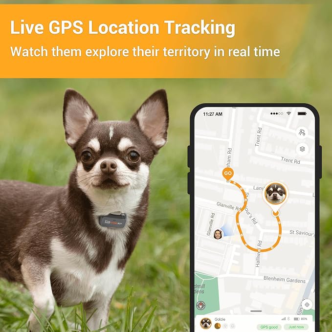 Pawfit Lite 4G GPS Dog Tracker, Live Tracking, Ultra-Light, Charcoal Grey