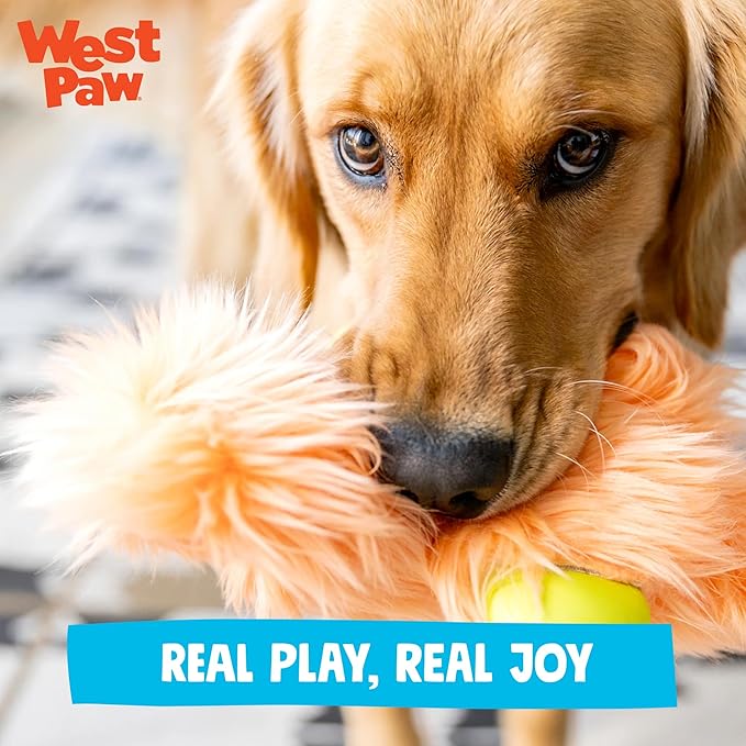 WEST PAW Rowdies Bjorn Durable Plush Dog Toy with Reinforced Seams Chew Resistant Design and Interactive Squeaker for Playtime Indoors or Outdoors Bundle for Dogs Who Deserve the Best - Seafoam