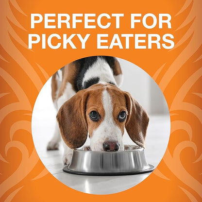 KOHA Raw Life Freeze-Dried Raw Bites Chicken for Dogs, High Protein Meal, Topper, and Treat for Picky Eaters, 14oz Bag