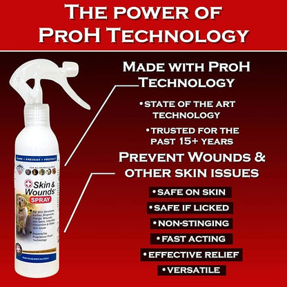 Show Out Skin & Wounds Spray for Dogs — Helps Control Dog Mange & Itchy Skin | Natural Relief for Hot Spots, Ringworm & Dermatitis | Gentle, Vet-Level Care (8 oz)