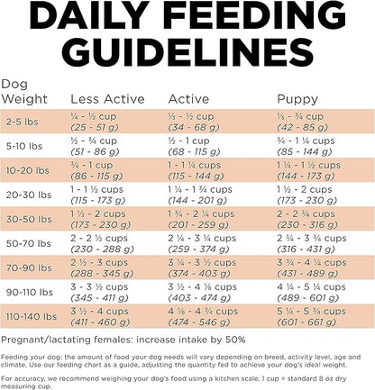 Go! Solutions Skin + Coat Care Salmon Dry Dog Food with Grains, Chicken-Free, Healthy Kibble with Omega-3s & 6s for Soft, Shiny Fur, for Puppies, Adults, & Seniors, 22 lb Bag