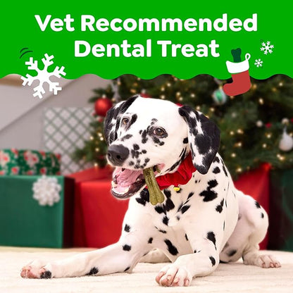 Greenies Veterinarian-Recommended, Limited-Edition Natural Dental Dog Treats Teenie Size, Gingerbread Flavor, 6 oz. Pack, 22 Count