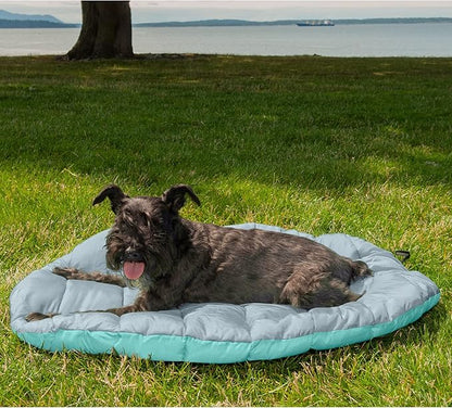 Furhaven Outdoor Travel Dog Bed for Small Dogs w/ Carry Bag, Washable & Foldable, Great for Crates & Kennels - Trail Pup Travel Pillow Mat w/ Stuff Sack Bag - Aqua/Granite Gray, Small