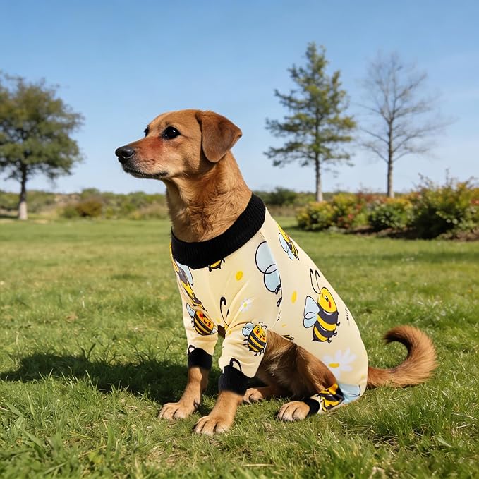 2PCS Dog Pajamas for XXL Sized Dogs Pjs Onesies Outfits Pet Jammies Boy Girl Male Female Apparel Toucan Bee Pattern Soft Lightweight Stretch Clothing