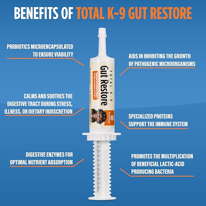 Dog Gut Restore Supplement – Probiotics & Digestive Enzymes for Dogs, Supports Gut Health, Stool Balance & Immune Support – Oral Paste Syringe 60g, Made in USA