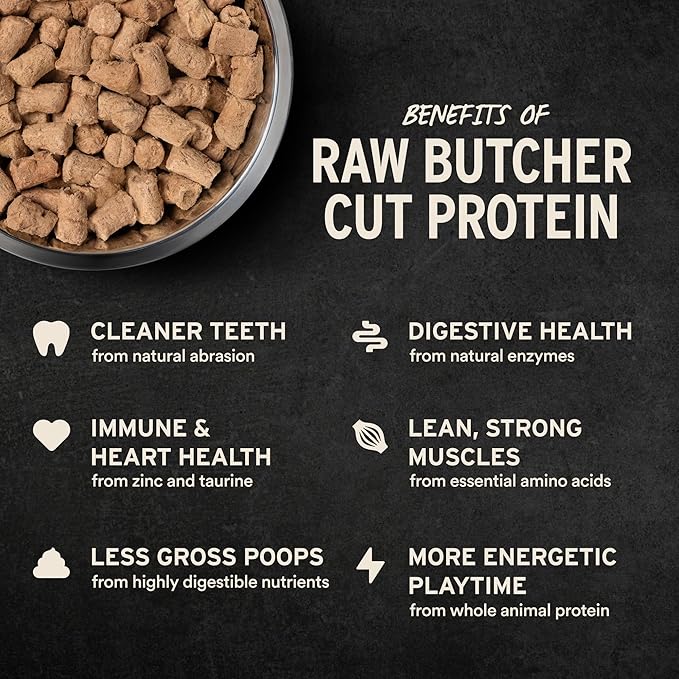 Vital Essentials Freeze Dried Dog Food, Raw Beef & Salmon Soft Nibs | Complete Meal or Topper | 99% Beef, Salmon, Organs & Bone | High Protein, Grain Free Dry Dog Food | 14 oz Bag