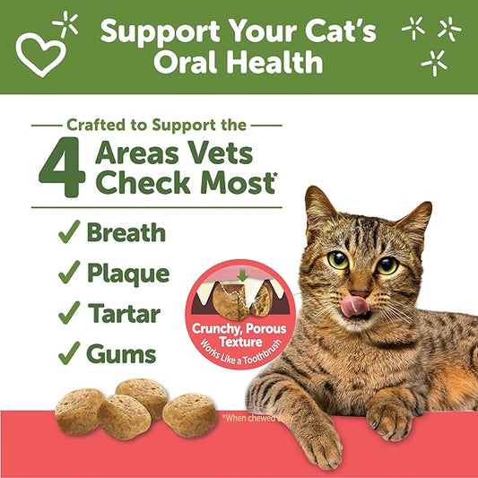 Whimzees Wellness Cat Dental Treats,Chicken and Salmon Flavor,(4.5 Ounce Bag),(Pack of 2)