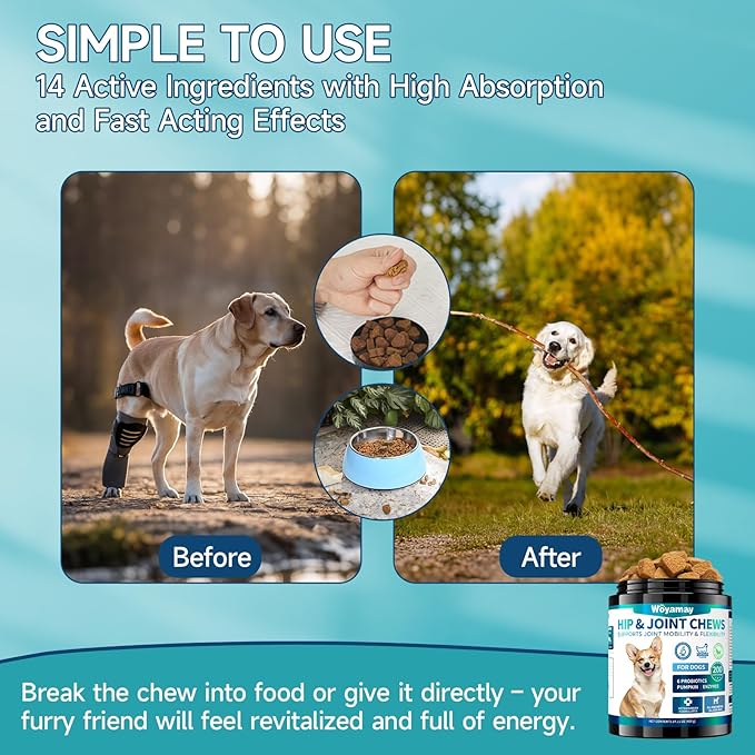 Hip and Joint Supplement for Dogs, Glucosamine for Dog Joint Supplement, 200 Soft Chews with Glucosamine, Chondroitin and MSM Dog Hip and Joint Supplement for All Ages and Breeds, Chicken Flavor