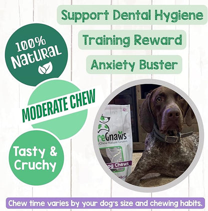 Nature Gnaws Beef Gullet Chews for Large Dogs 9-10" (50 Count) - Natural Beef Jerky Stick Dog Chew Treats - Rawhide Free