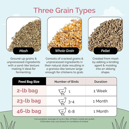 Mile Four Organic Chicken Feed – Layer Whole Grain, Non-GMO, USA Grown, 16% Protein, Corn-Free, Soy-Free, Non-Medicated Feed for Chickens, 2 lb Sample