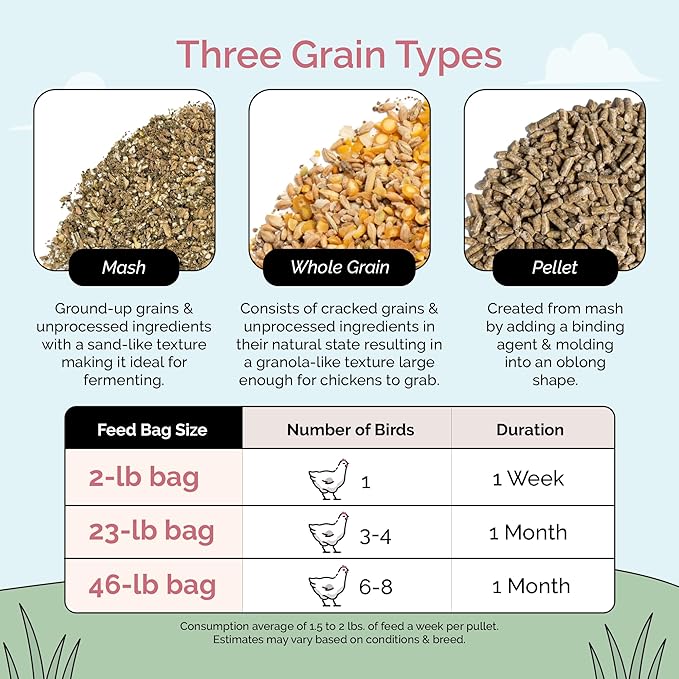 Mile Four Organic Chicken Feed – Grower Mash, Non-GMO, USA Grown, 18% Protein, Corn-Free, Soy-Free, Non-Medicated Feed for Chickens, 2 lb Sample
