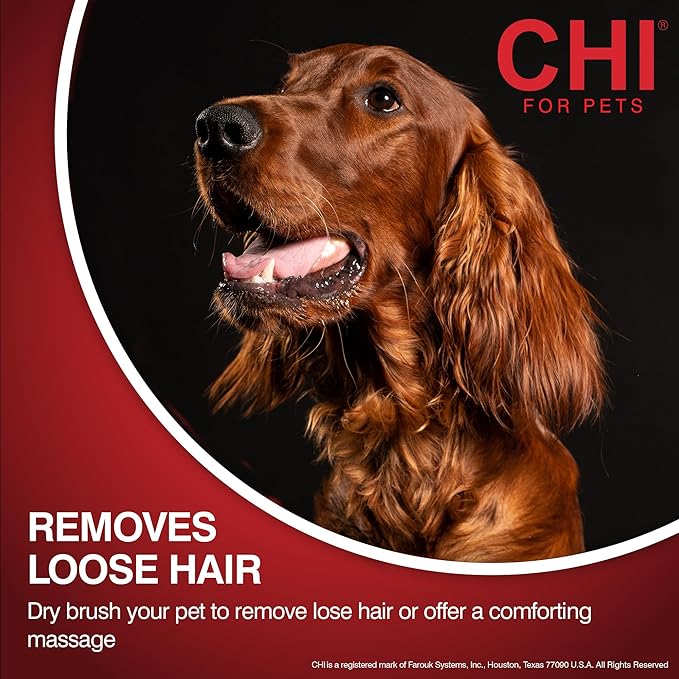 CHI for Dogs Detangling Grooming Glove, Dual-Sided Pet Deshedding Mitt for Wet or Dry Use, Dog Hair Remover and Massage Brush, Coated Pin Tips, Adjustable Strap, One Size Fits All