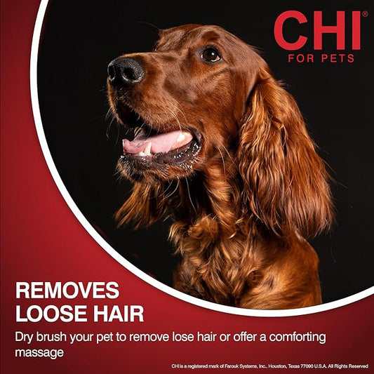 CHI for Dogs Detangling Grooming Glove, Dual-Sided Pet Deshedding Mitt for Wet or Dry Use, Dog Hair Remover and Massage Brush, Coated Pin Tips, Adjustable Strap, One Size Fits All