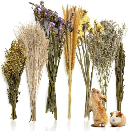 Sukh 47Pcs Natural Hamster Herb Bedding - Safe Cage Accessories & Hideout Enclosure and Habitat Decor for Syrian Dwarf Hamsters, Guinea Pigs, Gerbils and Small Pets