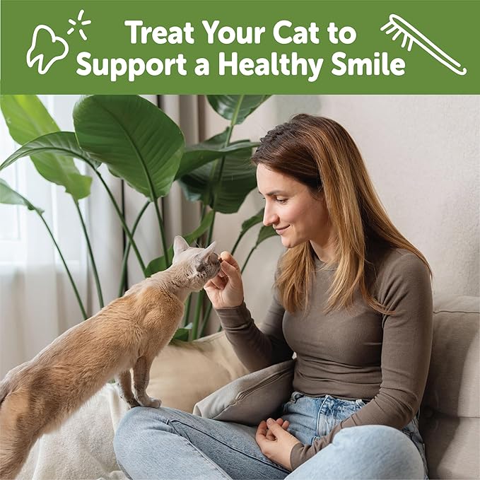 Wellness WHIMZEES Cat Dental Treats, Freshens Breath, Chicken and Salmon Flavor, 4.5 oz Bag