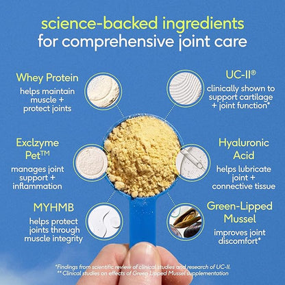 Native Pet Hip & Joint Advanced Care Dog Joint Supplement Powder for Mobility & Movement Support, Joint Supplement for Dogs with HMB, UC-II Collagen, Green Lipped Mussel & Hyaluronic Acid-120 Scoops