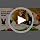 Squeaky Dog Toys for Small & Medium Dogs - Keep Them Happily Playing