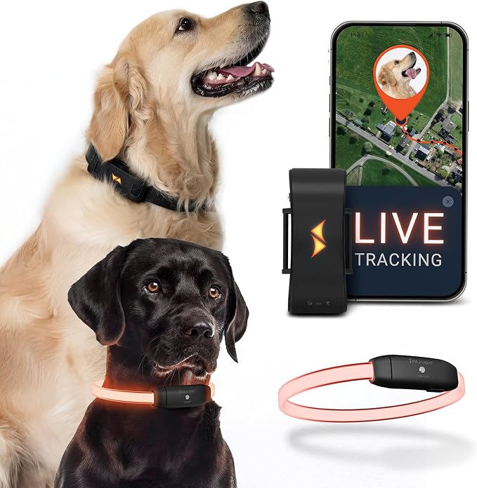 4G Dog GPS Tracker with Real-Time Location, Runaway Alerts, Activity Monitoring App, Waterproof Design & Rechargeable LED Dog Collar with 7 Color Modes, 27-Month Subscription Included – Black Bundle