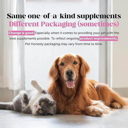 Hemp Hip & Joint Supplement for Dogs - Hemp Oil & Powder - Glucosamine Chondroitin for Dogs, Turmeric, MSM, Green-Lipped Mussel, Supports Mobility, May Reduce Discomfort (Bacon)