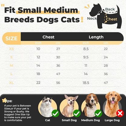 PETCARE Small Dog Sweater Cute Bear Dog Cardigan Coat Clothes for Small Medium Dogs Boy Girl Soft Warm Fall Winter Puppy Knitted Outfits Chihuahua Shih Tzu, (Beige, Small, Chest 12" Length 9.5")