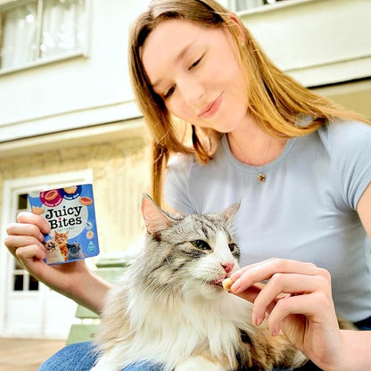 INABA Juicy Bites Grain-Free, Soft, Moist, Chewy Cat Treats with Vitamin E and Green Tea Extract, 0.4 Ounces per Pouch, 18 Pouches (3 per Bag), Scallop and Crab