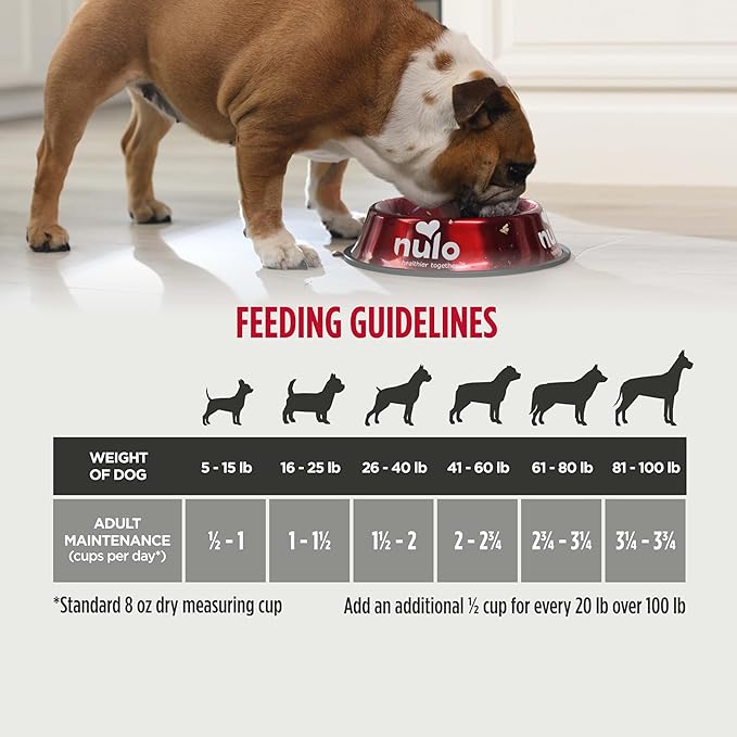 Nulo Frontrunner Dry Dog Food - Adult High-Protein Chicken, Oats & Turkey Recipe, Natural Kibble with Ancient Grains, Probiotics, Taurine, Omega 3 for Small, Medium and Large Breeds, 25lb Bag