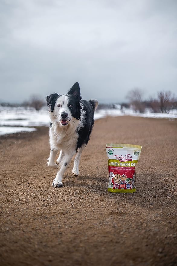 Dog running on a dirt path with a bag of dog food in the foreground