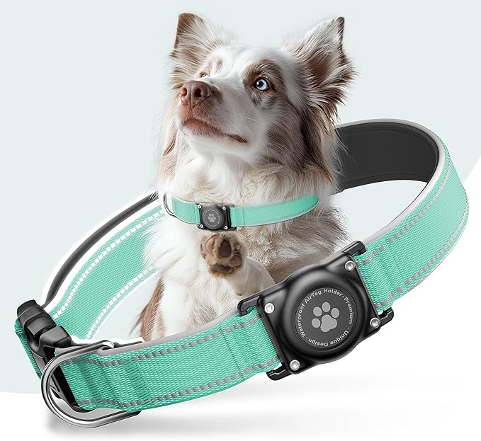 Upgrade AirTag Dog Collar, IP68 Waterproof Air Tag Dog Collar Holder, Reflective, Ultra-Durable, Comfortable Padded, Heavy Duty Dog Collars for Small Medium Large Dogs (Aqua, S)