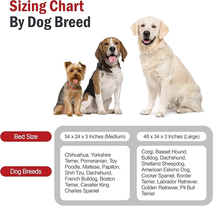 Majestic Pet 34x24x3 Inch Red Orthopedic Memory Foam Rectangle Dog Bed – Medium Size Crate Dog Bed for Dogs with Joint Pain, Arthritis – Durable Pet Mattress with Egg Crate Foam, Washable Cover