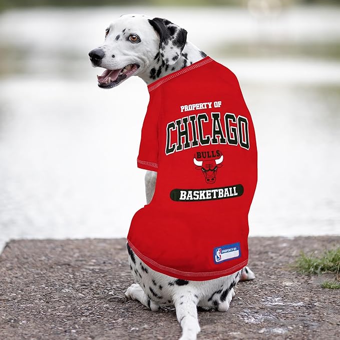 Pets First NBA Licensed Hoodies & T-shirt for Dogs & Cats, Chicago Bulls, Small