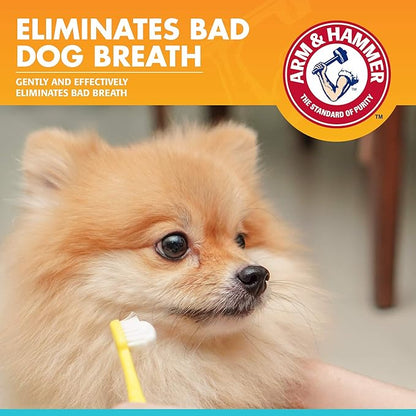 Arm & Hammer for Pets Fresh Breath Enzymatic Dog Toothpaste, Vanilla Ginger Flavor, Safe for Puppies and Adult Dogs, Daily Baking Soda Dental Gel to Eliminate Bad Breath, 2.5 Oz - 72 Pack