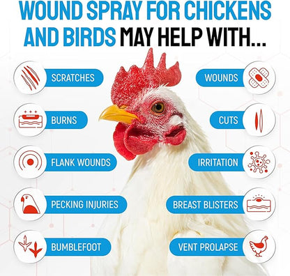 SILVER GRADE Wound Spray for Chicken from Birds & Chicken Antibiotics Alternative to Help with Pecking Sores, Bumblefoot, Cuts – Poultry Spray with Silver – GMOs Free – 4-Oz Bottle