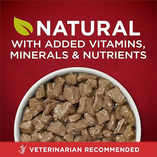 Purina ONE High Protein Wet Dog Food True Instinct Tender Cuts in Dog Food Gravy With Real Beef and Wild-Caught Salmon - (Pack of 12) 13 oz. Cans