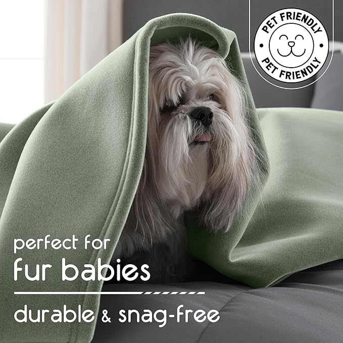 Vellux Original Queen Blanket - Soft Nylon Insulated Blanket for Bed Couch - Lightweight Machine Washable All Season - Pet Friendly Durable Wont Pill or Lint - 90x90 – Sage Green